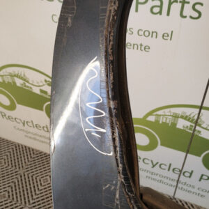 Puerta Trasera Derecha Peugeot 207 (04843492)