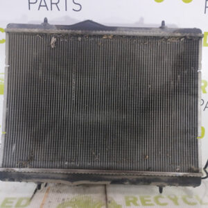 Radiador De Agua Peugeot 308 1.6 (05641940)