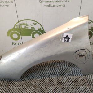 Guardabarro Izquierdo Peugeot 206 (05864307)